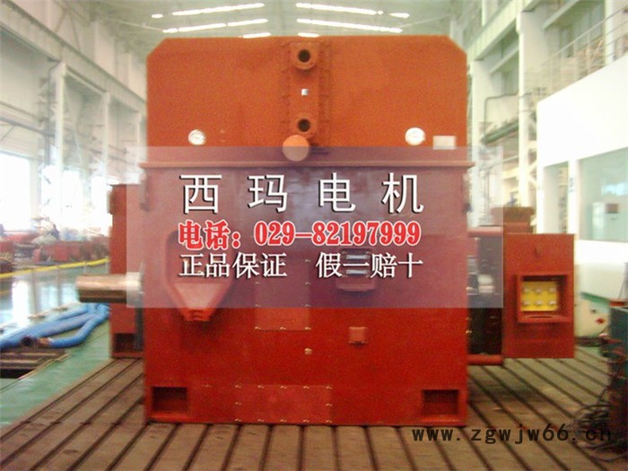 西玛电机YRKK5004-8 500KW 6KV三相异步电动机图2
