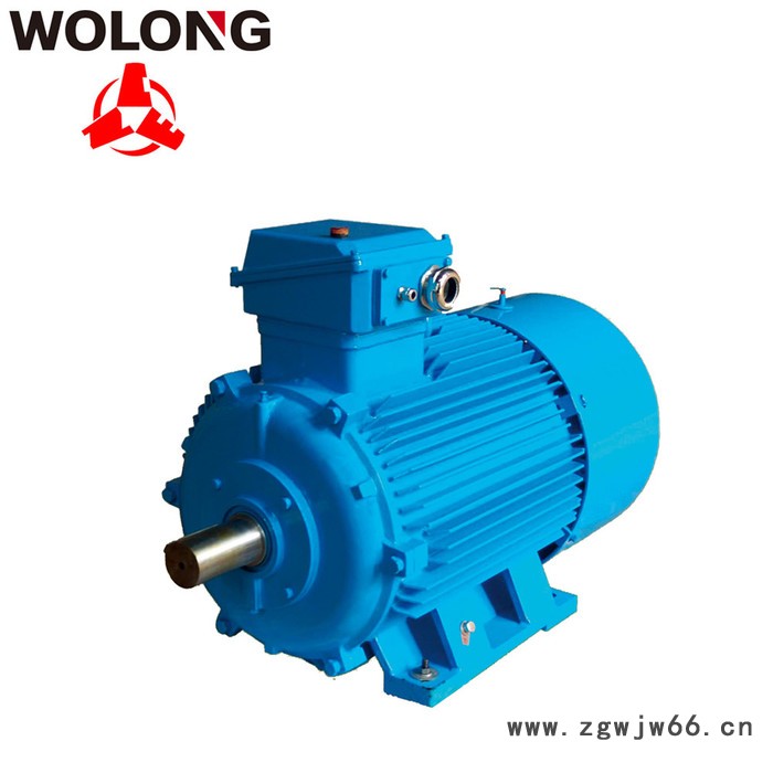 CNE/南阳防爆卧龙电气南阳防爆电机YHD系列**用核级三相异步电动机图2