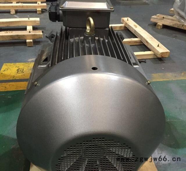 YVF2-200L-4 30KW YVFE2-200L-4 YVFE3-200L-4高效节能变频电动机图2