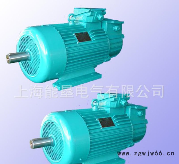 直销JZ2-52-8 30KW起重及冶金用三相异步电动机图2