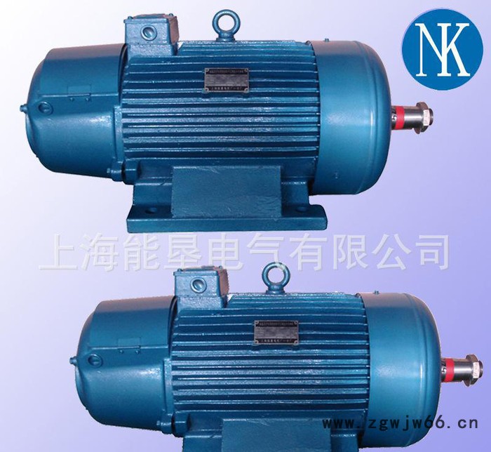 特价JZR2-63-10 60KW起重及冶金用三相异步电动机图2
