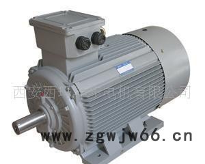 三相笼型异步电动机Y2-355L-6图2