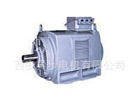 三相异步电动机Y系列 Y250M-8图2