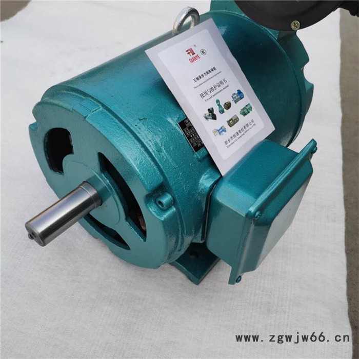 千业 力矩电动机YLJ100-5/2图7