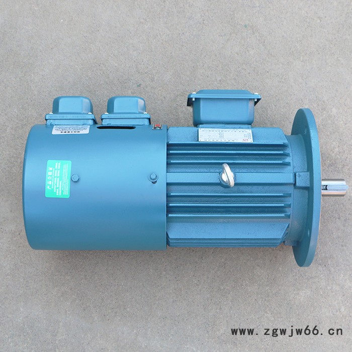 千业牌 长期堵转力矩电动机LONG-TERM LOCKED-ROTOR3-PHASES TORQUE MOTOR 质量好图7