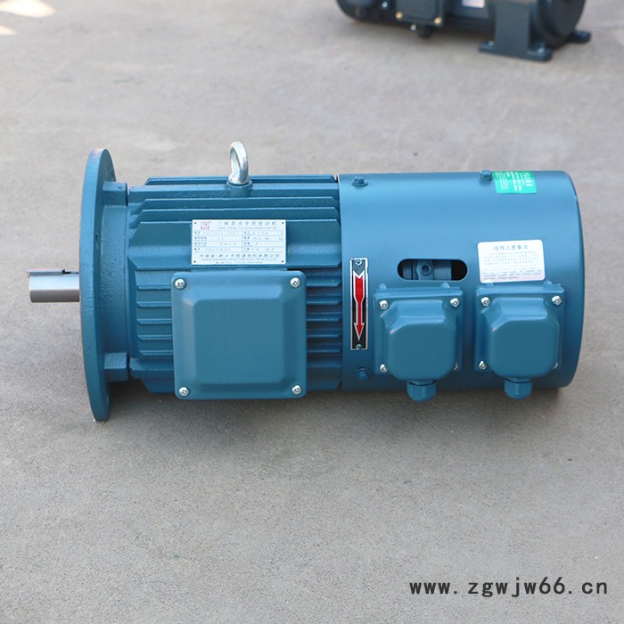 千业牌 长期堵转力矩电动机LONG-TERM LOCKED-ROTOR3-PHASES TORQUE MOTOR 质量好图2