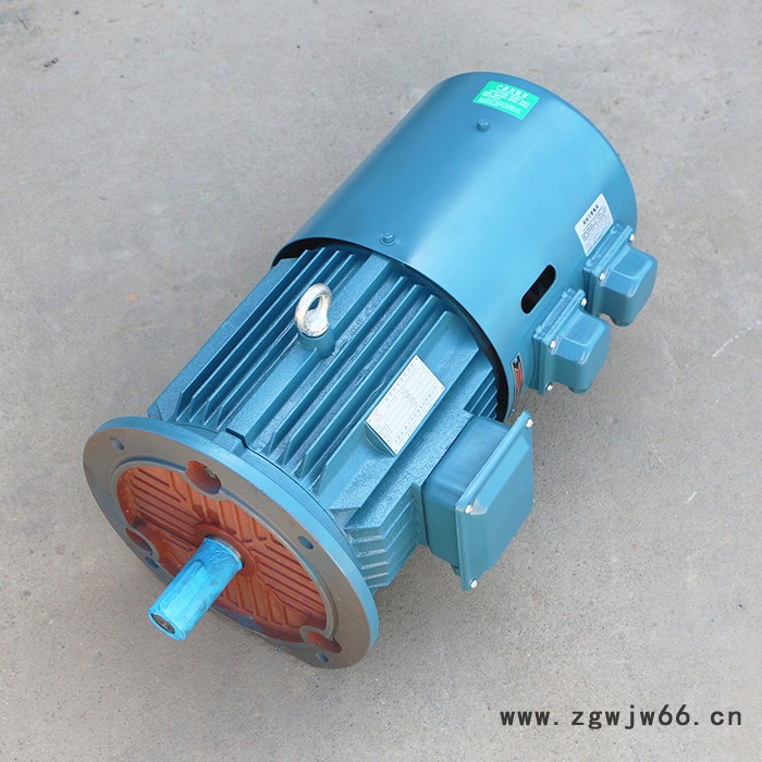 千业牌 长期堵转力矩电动机LONG-TERM LOCKED-ROTOR3-PHASES TORQUE MOTOR 质量好图6