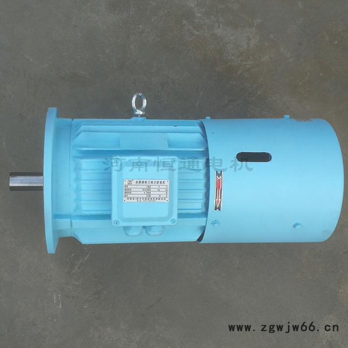 千业牌 长期堵转力矩电动机LONG-TERM LOCKED-ROTOR3-PHASES TORQUE MOTOR 质量好图3