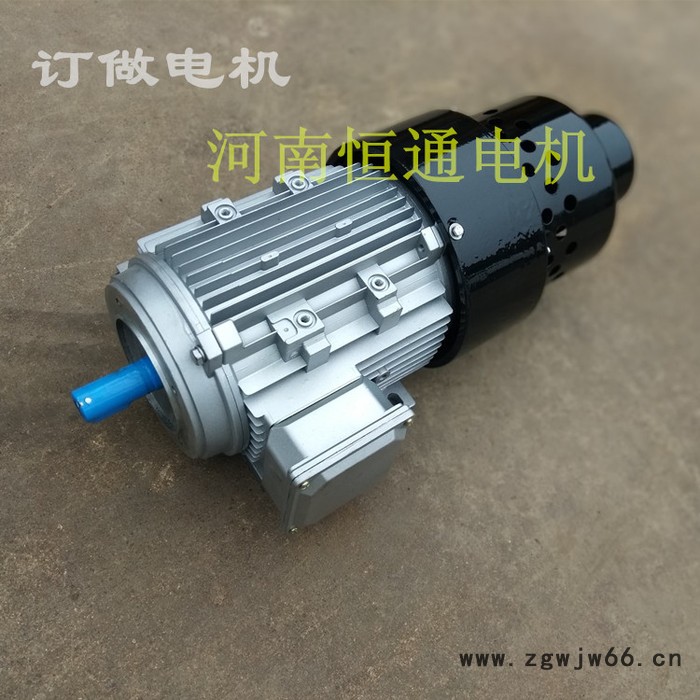 千业牌 进口电机定制 国产进口电动机订做 非标订制电机 厂家直供图2