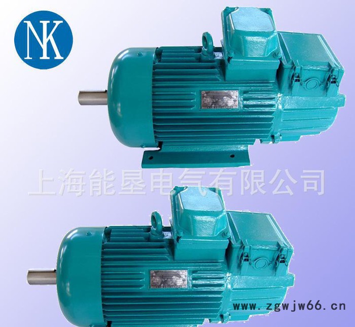 供应上海能垦YZP280S2-4 75KW冶金及起重用变频调速电动机图2