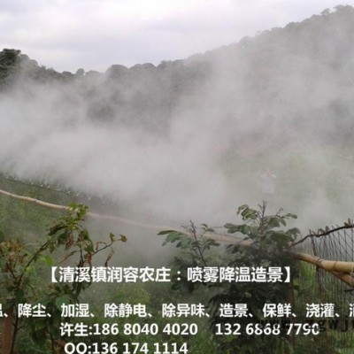 专用雾化喷嘴、进口陶瓷雾化喷嘴、高压喷雾、加湿器喷嘴喷头