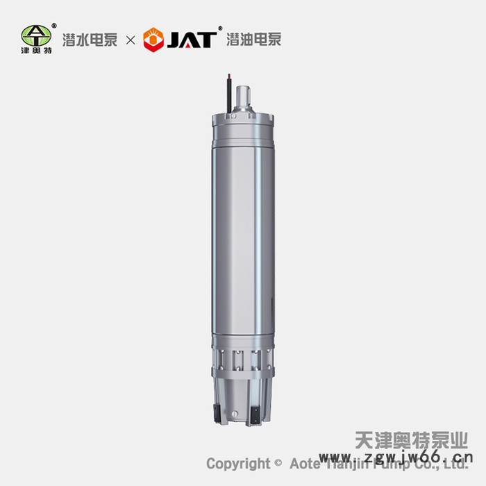 YQS150系列井用潜水三相异步电动机厂家直营图2