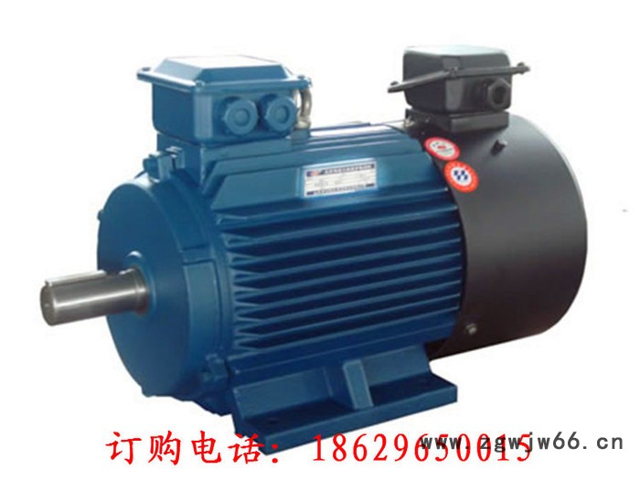 YD280S-6/4 42/55KW IP44 380V 西玛变极多速电动机图2