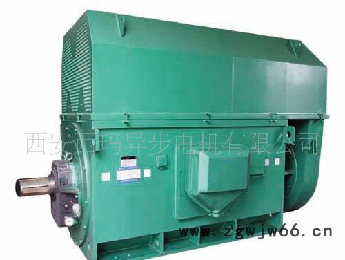 Y系列西玛电机YKK4005-2 450KW 6KV 高压电动机图2