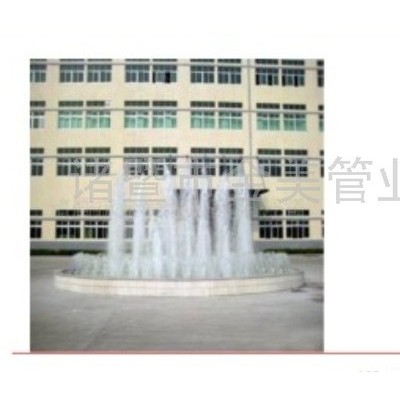 供应**直上喷头喷嘴，中心直上喷头，水景景观喷头1寸 南方金美