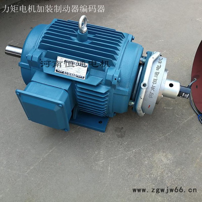 千业牌 嘉兴力矩电机YLJ100-5-6 天津力矩电动机 质量稳定图5