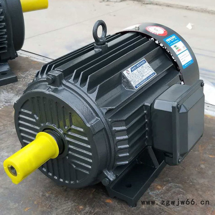 金力特YE2-250M-8高效节能三相异步电动机图3