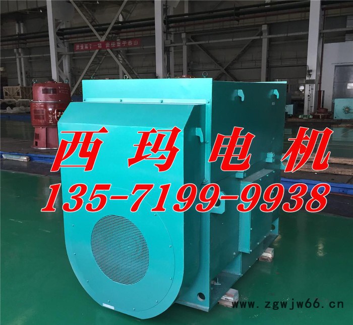 YKK500-8B 220KW 10KV 西玛牌高压三相异步电动机图2