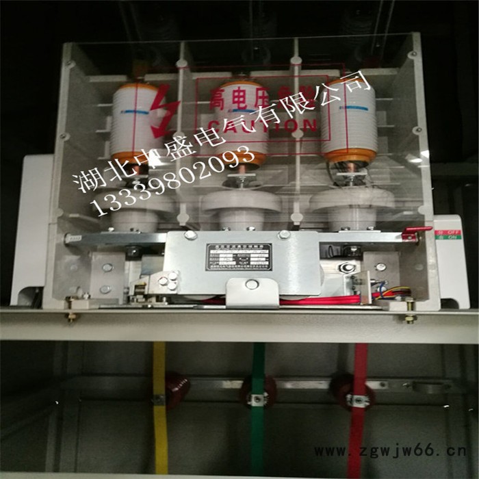 【湖北中盛】SMPC高压电动机无功补偿装置图4