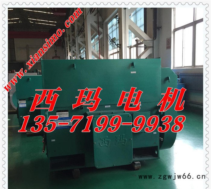 西玛电机YKK系列YKK4505-2  800KW 6KV 高压三相异步电动机图2