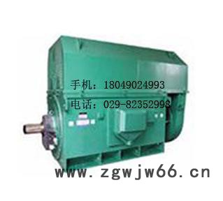 YKK6303-10 900KW 10KV 西玛牌高压电动机图3