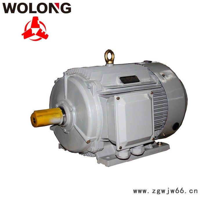 WOLONG/卧龙电机YE3-DT系列超高效率地铁隧道用三相异步电动机图3