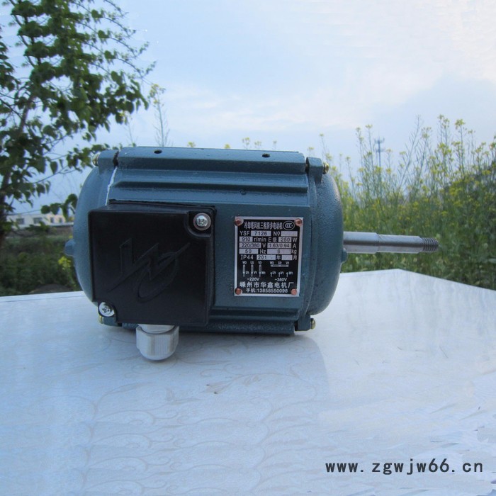 红发YSF 7126 冷却塔风机三相异步电动机250W图2