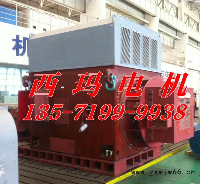 西玛电机YR4505-12 250KW 6KV 595R高压电动机图2