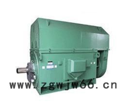 西安专业电机Y2-3555-4 280KW 6KV高压三相异步电动机图2