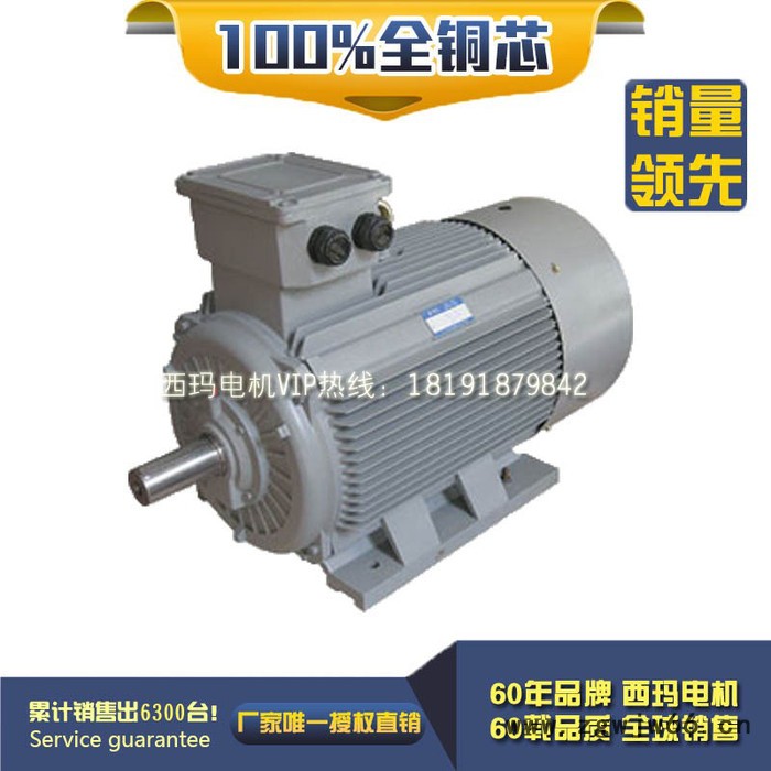 西安电机厂 YD100L-8/4 0.85/1.5KW IP44 380V 双速电机 异步电动机图2