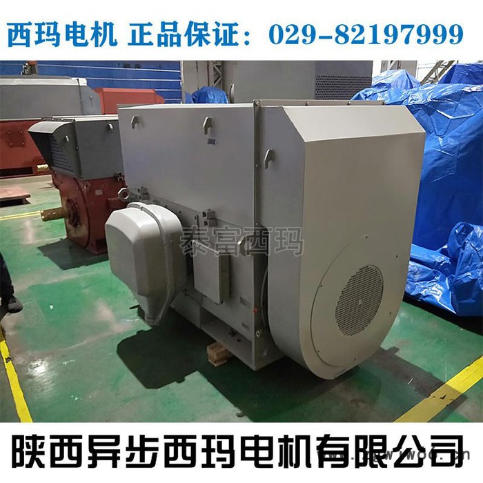 西玛电机YKS4006-8 220KW 6KV 740R高压电动机图4
