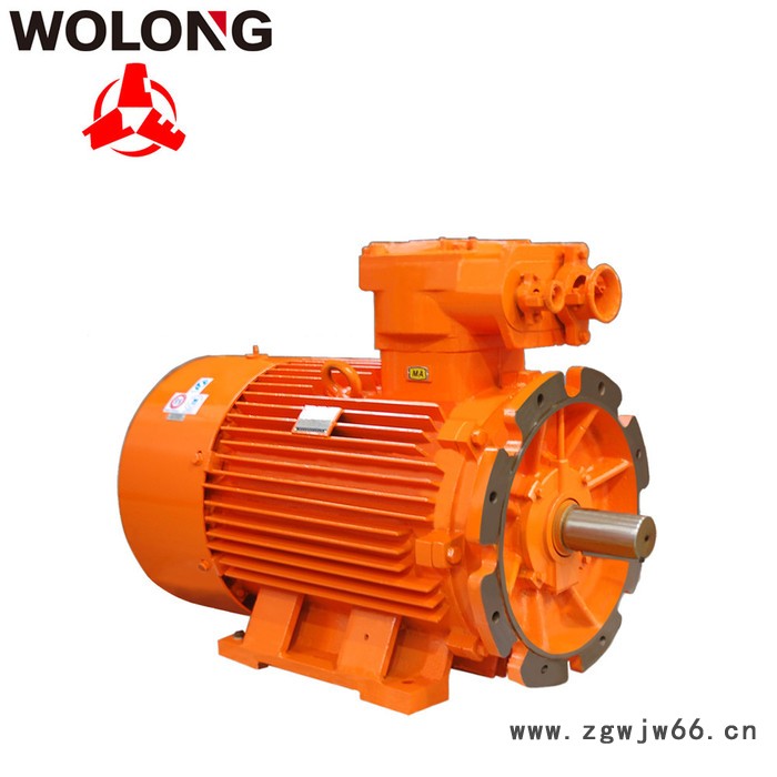 CNE/南阳防爆卧龙电气南阳防爆 6极YBK2系列煤矿井下用隔爆型三相异步电动机图3