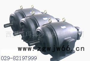 西玛配套电机JS系列JS158-8 630KW 380V三相异步电动机图3