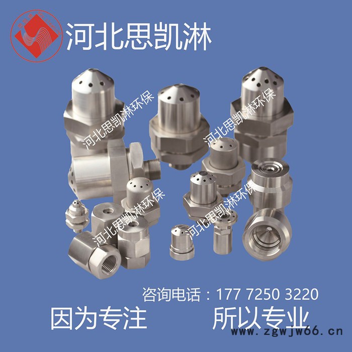 河北思凯淋SKL-ZP 直流喷枪直流喷嘴图2