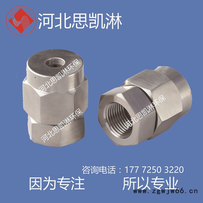 河北思凯淋SKL-ZP 直流喷枪直流喷嘴图4