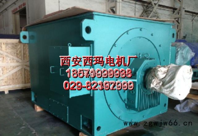 Y系列Y8006-6 2800KW 10KV泰富西玛电机三相异步电动机图3