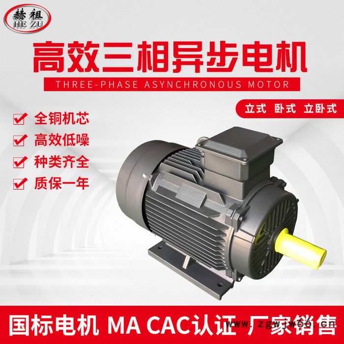 九派通YE3-132S2 三相异步电动机7.5KW2极高效节能电机 变频三相异步电动机厂家直供图3