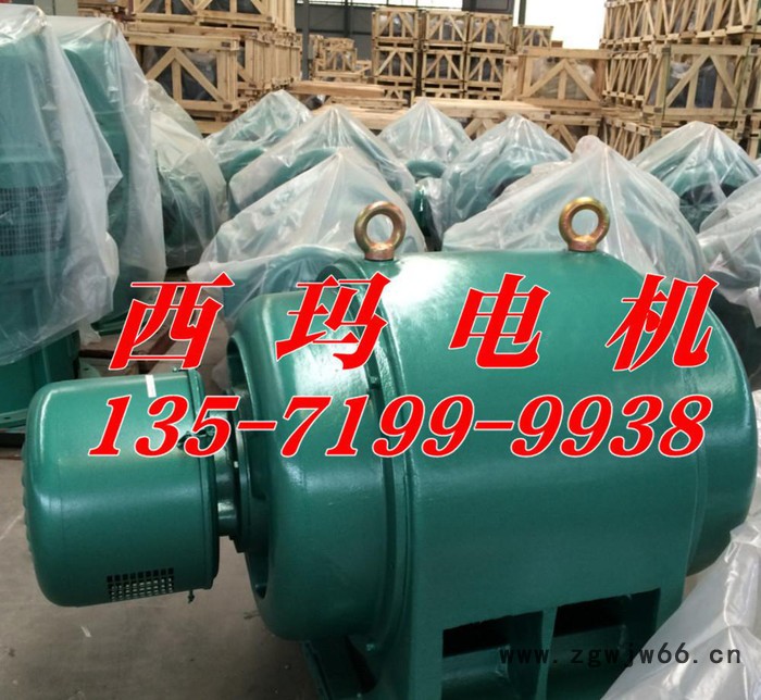 西玛电机集团 JR系列117-4 180kw/380v三相异步电动机图2