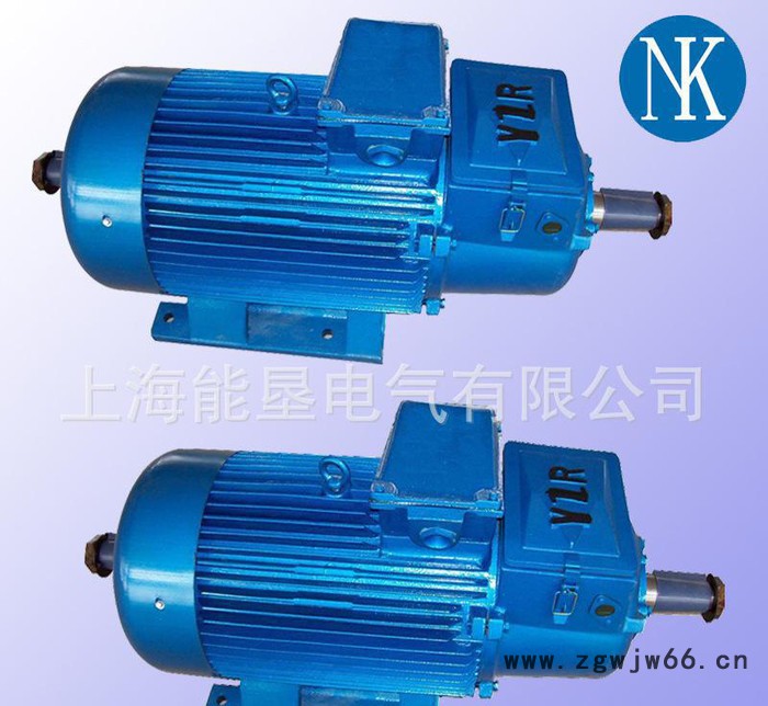 供应上海能垦YZR355L1-10 110KW冶金及起重用三相异步电动机图3