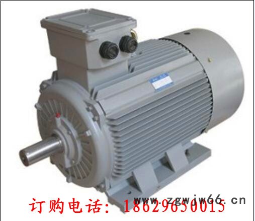 Y315M2-6 160KW 380V IP23 西安西玛电机 交流电动机图2