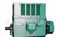 西安电机厂西玛电机 YR7104-4 4000KW/6KV三相异步电动机图3