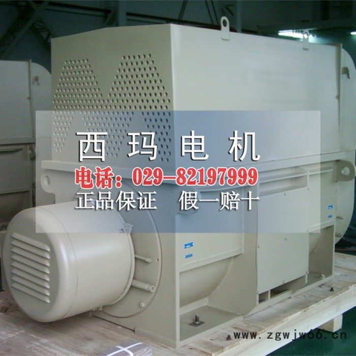 西玛电机YR系列YR5004-10 560KW 6KV 590R高压电动机图4