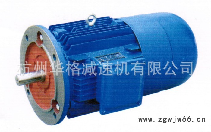 YDSE132M-12/4-1.3/4.0KW实心转子制动三相异步电动机特种电机图2