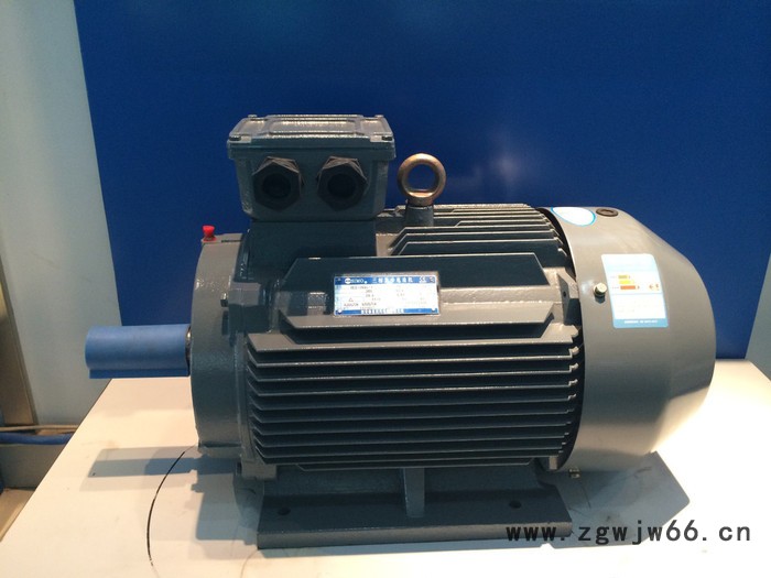 YE2-315S-2 160KW 380V IP23 西安西玛电机 交流电动机图3