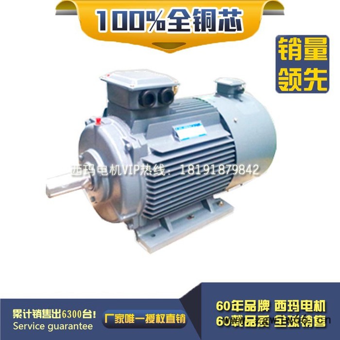 YE2-315S-2 160KW 380V IP23 西安西玛电机 交流电动机图2
