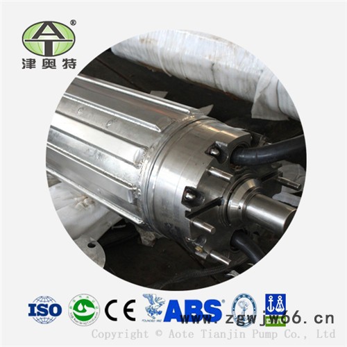 铸铁_不锈钢潜水电机_农业供水三相异步电动机图2