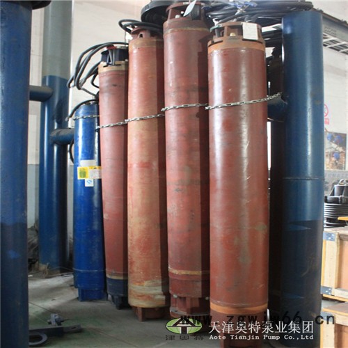 津奥特YQS变频式潜水电机_津奥特三相异步电动机图4