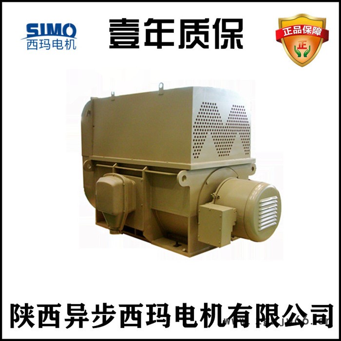 西玛电机YKS6302-8 1250KW 6000V/749rpm水冷型高压电动机图3