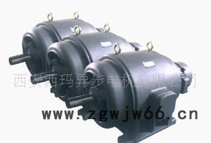 西玛配套电机JS系列JS147-6 630KW 380V三相异步电动机图2