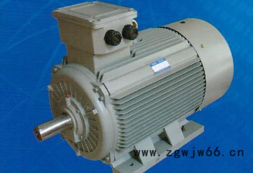 西玛电机YR系列YR4002-4 355KW 6KV三相异步电动机图3